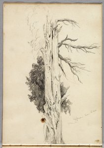 サイプレス、ヴィラデステ、1832 作： Thomas Cole
